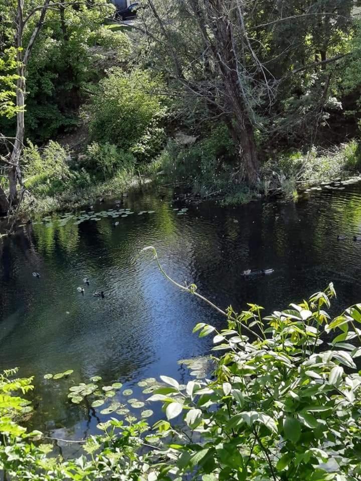 Gospic Riverside Apartment מראה חיצוני תמונה
