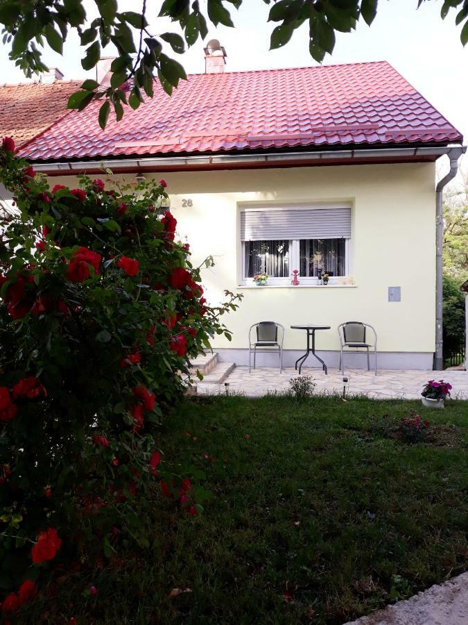 Gospic Riverside Apartment מראה חיצוני תמונה